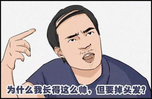 让你再叫我“秃顶男”，我帅呆你