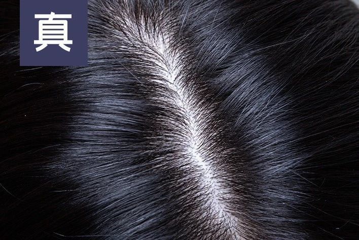 补发新人入门全知道——无痕补发科普篇