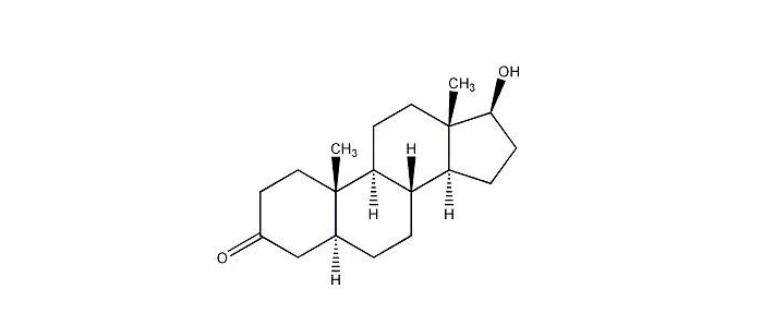 雄性激素和5α还原酶 雄性激素和5α还原酶