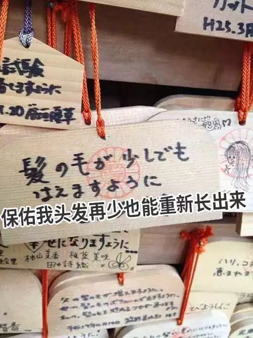 保佑我对发再少也能重新长出来
