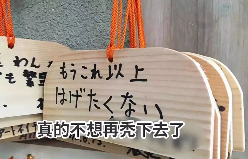 真的不想再秃下去了