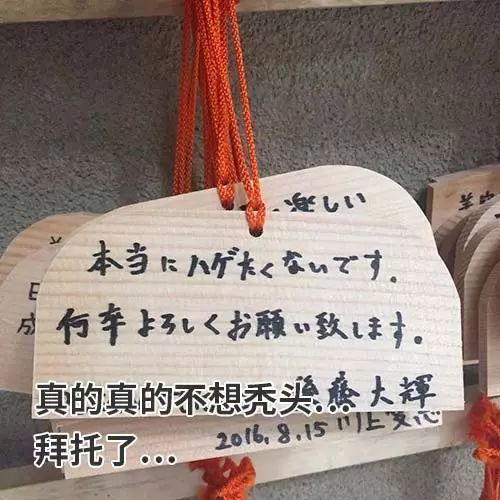 真的真的不想秃头。。。