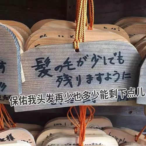保佑我头发再少也多少能剩下点儿