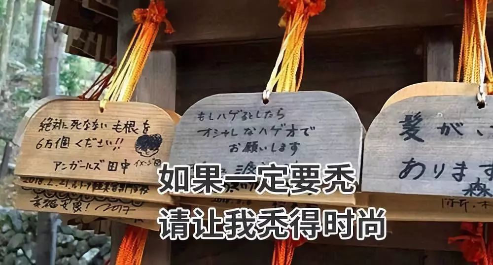 如果一定要秃，请让我秃得时尚