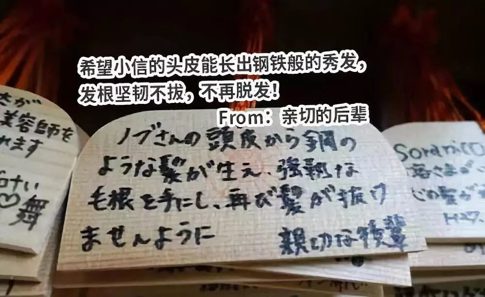 希望小信的头皮能长出钢铁般的秀发，发根坚韧不拔，不再脱发