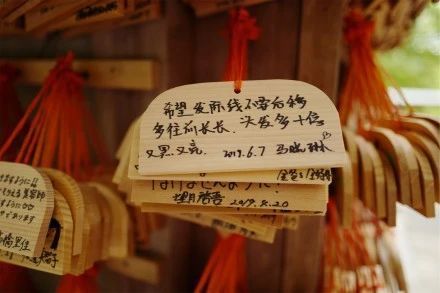 希望发际线不要再后移