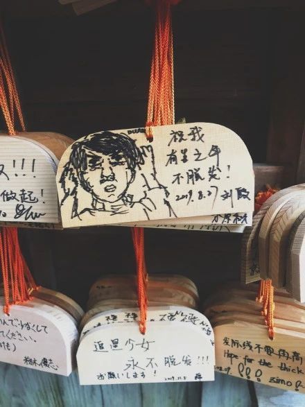 祝我有生之年不脱发