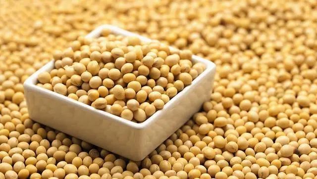 豆制品 豆制品