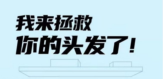拯救你的头发 拯救你的头发
