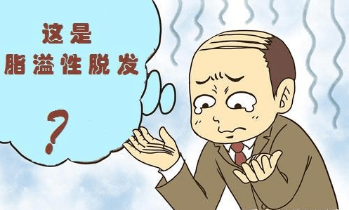 油脂性脱发怎么治