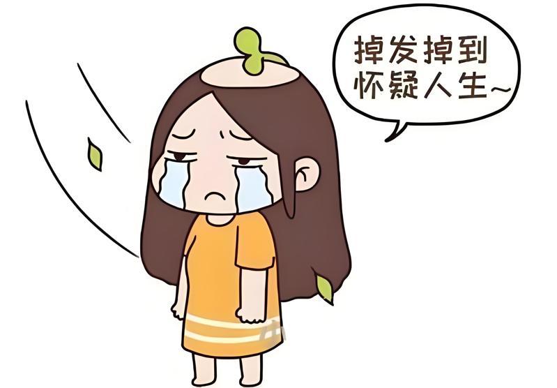 掉发掉到怀疑人生 掉发掉到怀疑人生