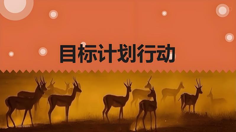 科学养发的长远规划