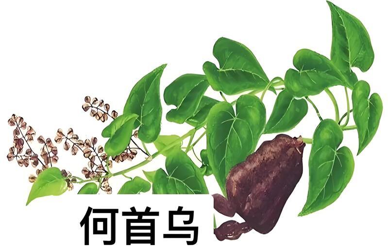 毒性问题