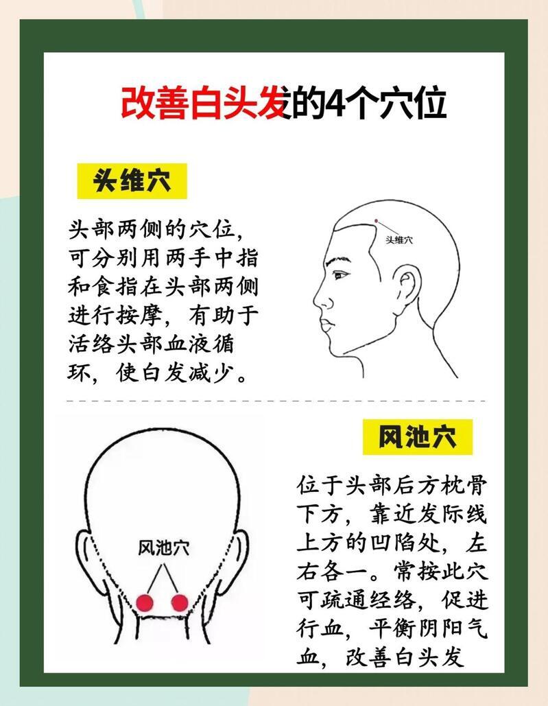 改善白发的穴位：头维穴，风池穴